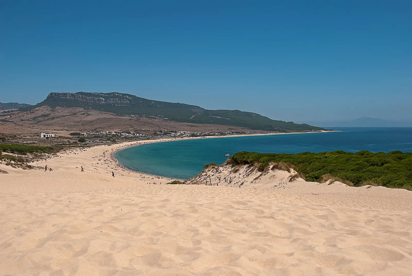 Plaża Bolonia na Costa de la Luz widziana z wydmy: jasny piasek, turkusowa zatoka i zielone wzgórze w tle