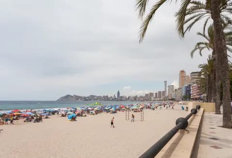 Szeroka piaszczysta plaża Poniente w Benidorm
