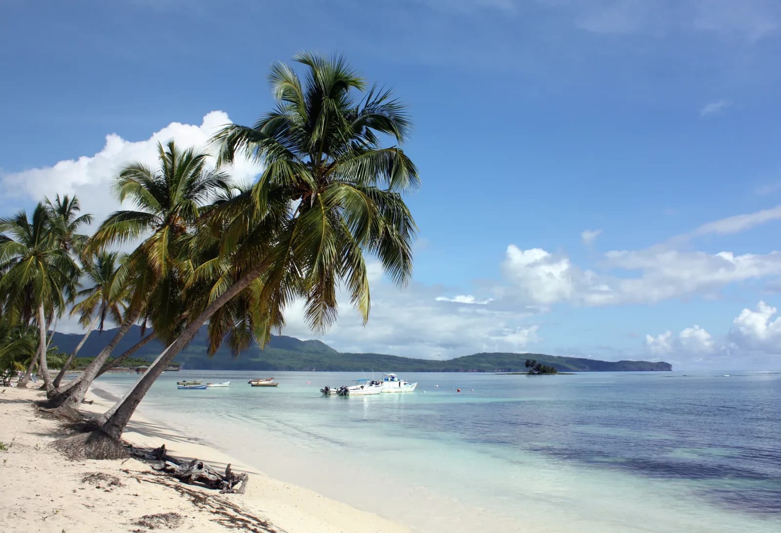 Pochylone palmy nad piaszczystą plażą Las Galeras na półwyspie Samaná, w zatoce małe łodzie, w tle zalesione wzgórza