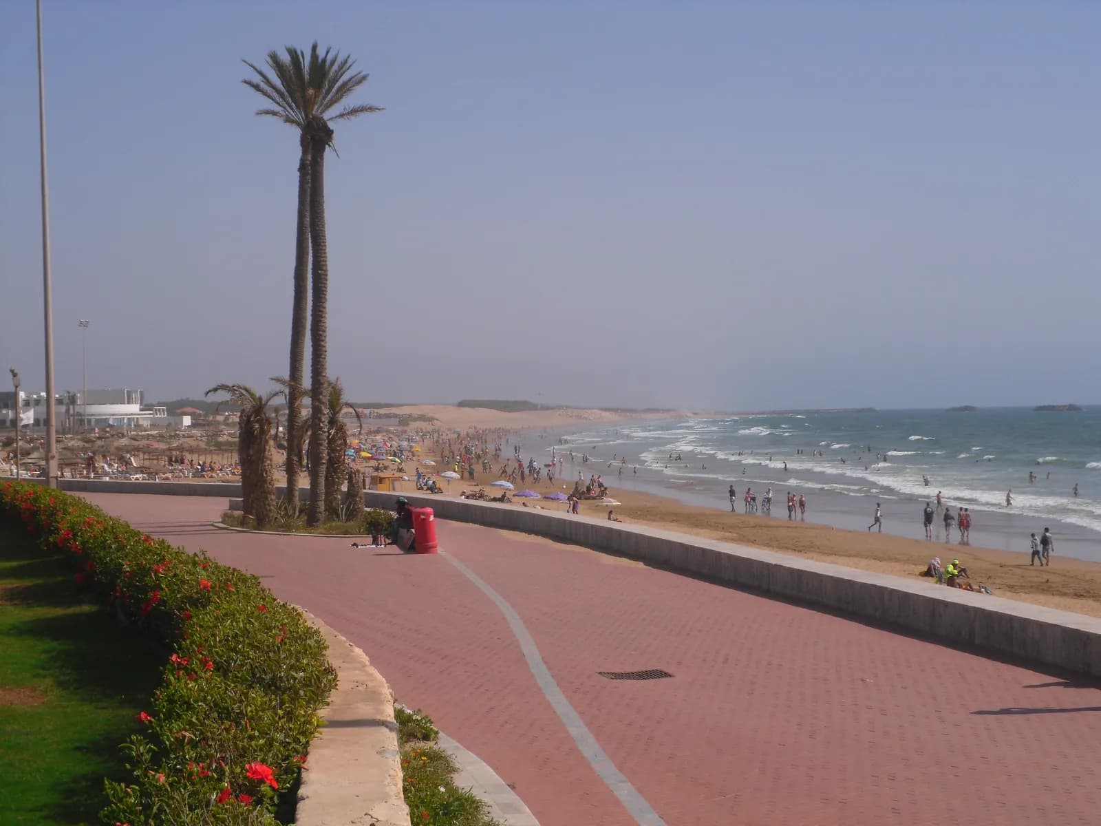 Długa piaszczysta plaża w Agadirze i promenada z palmami i kwitnącym żywopłotem, na plaży plażowicze i fale Atlantyku