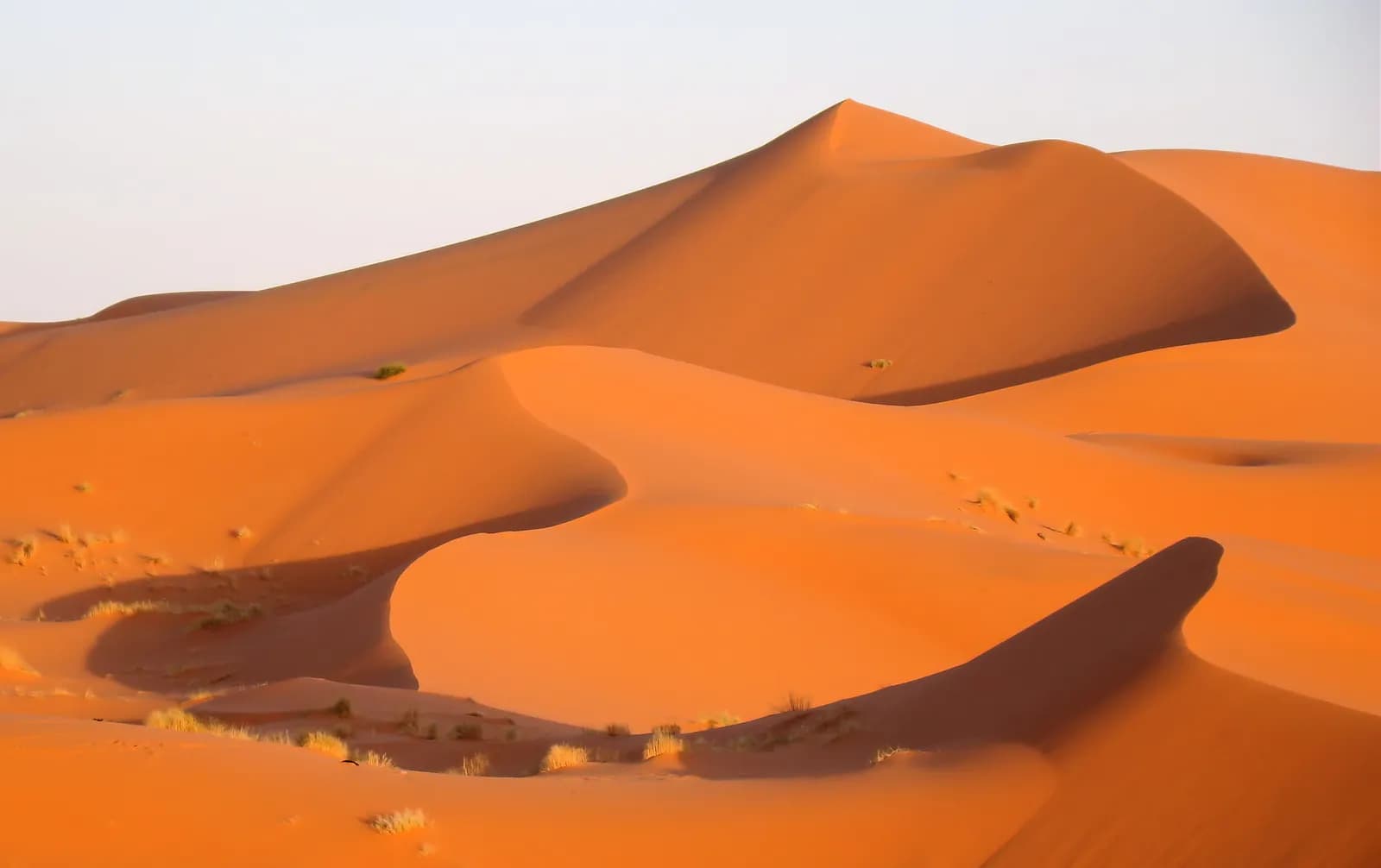Pomarańczowe wydmy Erg Chebbi w rejonie Merzougi z ostrymi graniami i kępami suchej trawy