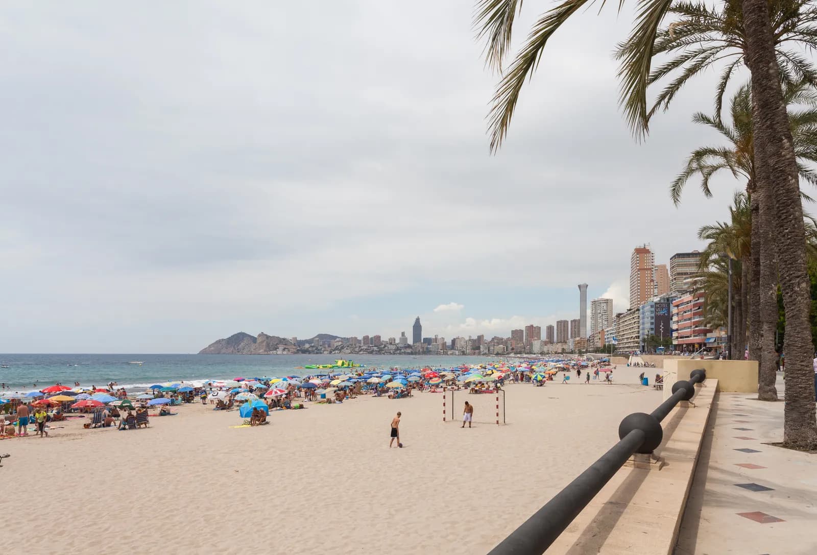 Szeroka piaszczysta plaża Poniente w Benidorm